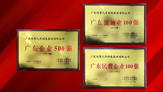 喜讯！成都嘉诚自然资源开发有限公司上榜广东企业500强等三大榜单(图2)