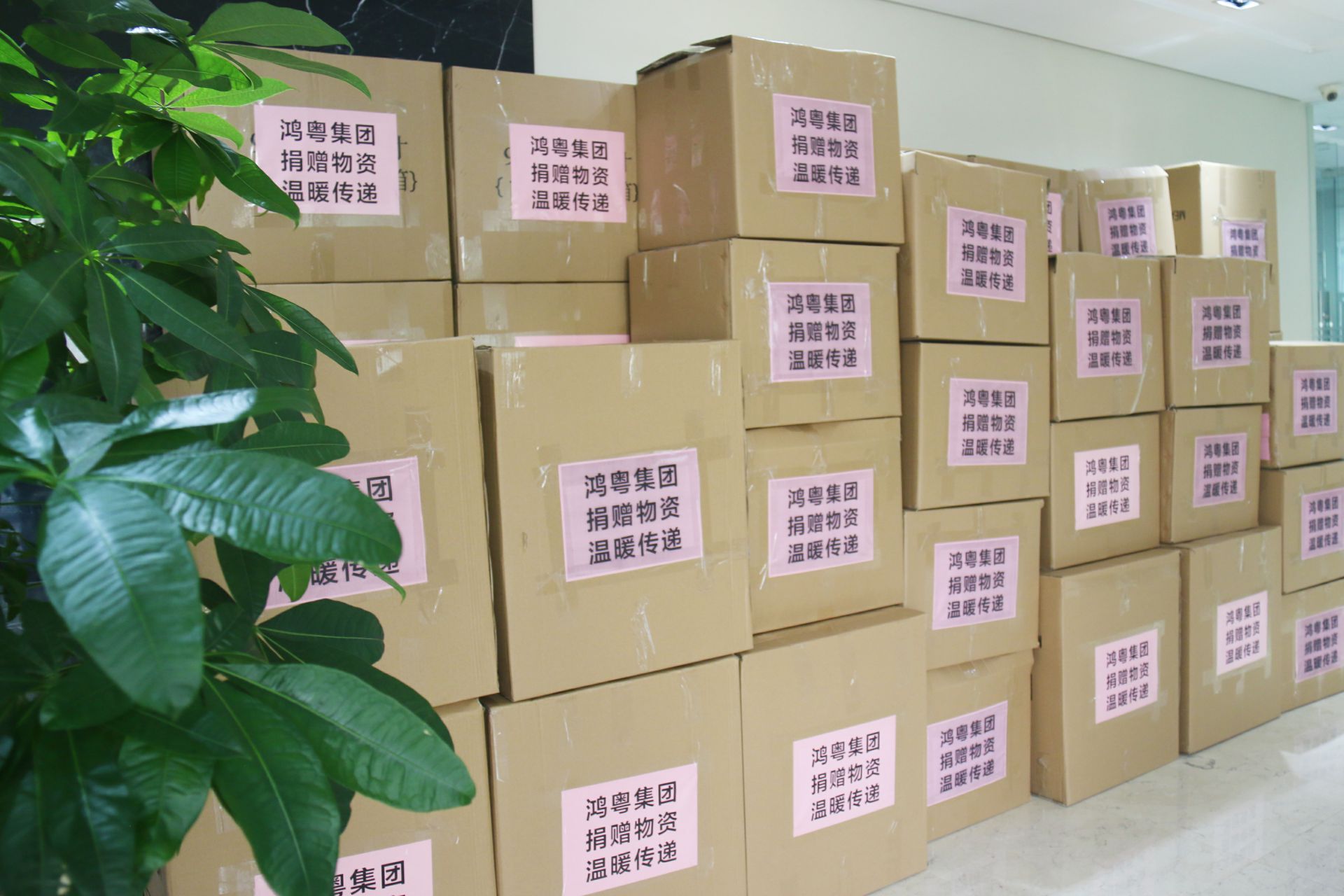 成都嘉诚自然资源开发有限公司公益回顾丨家国同欢月同圆 温暖满载甘孜州(图1)